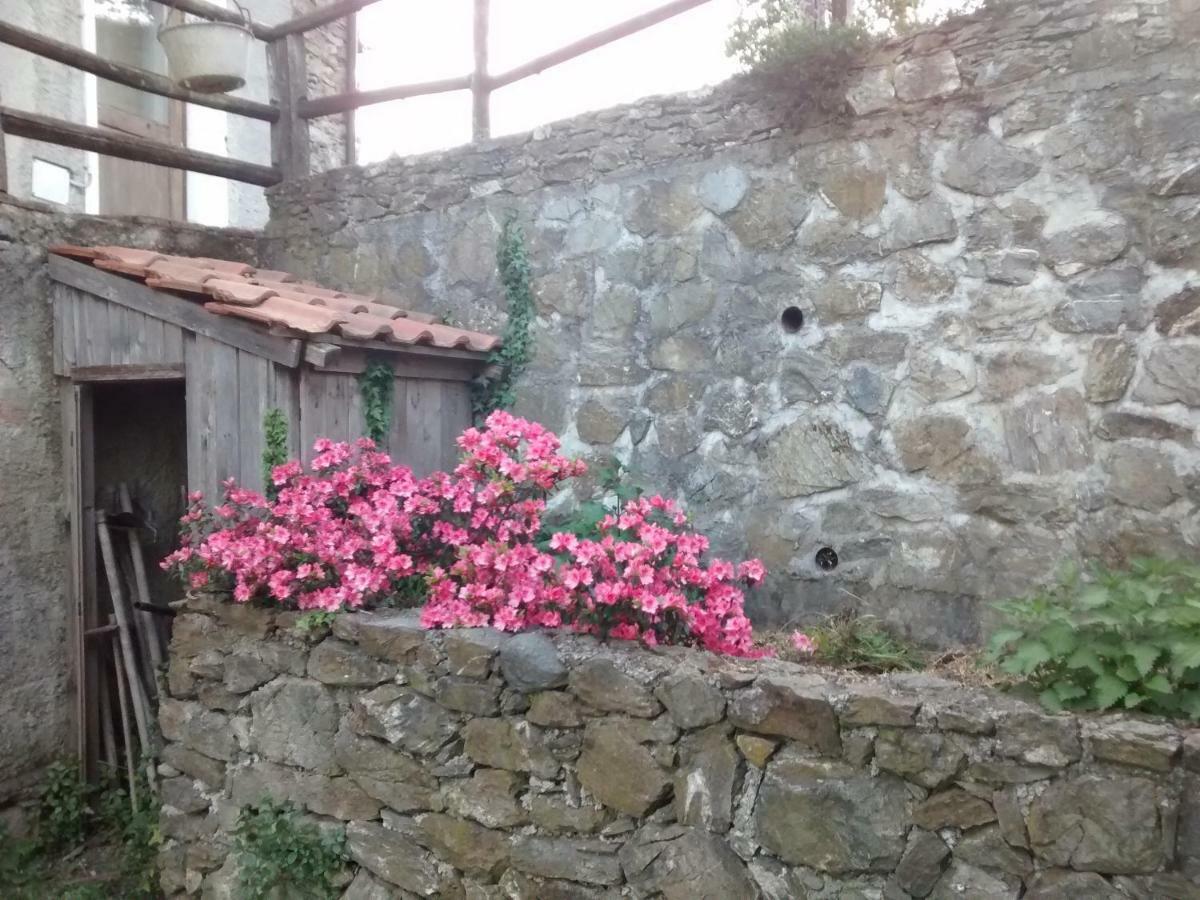 La Sereta Busalla Εξωτερικό φωτογραφία